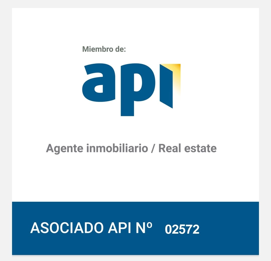 api.jpeg
